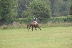 DSC_2009