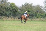 DSC_2311