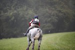 _MG_4115