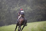 _MG_4120