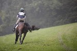 _MG_4148