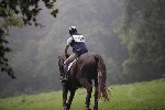 _MG_4154