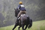 _MG_4167