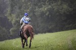 _MG_4174