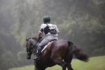 _MG_4187