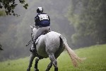 _MG_4196