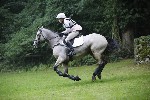 _MG_4211
