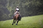 _MG_4221