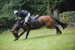 _MG_4227