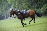 _MG_4230
