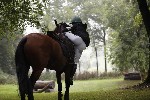 _MG_4243