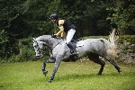 _MG_4249
