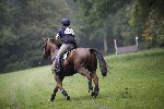 _MG_4264