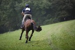 _MG_4265