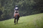 _MG_4266