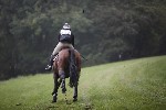 _MG_4286