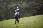 _MG_4295