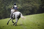 _MG_4308