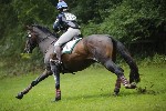 _MG_4320