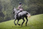 _MG_4351