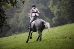 _MG_4352