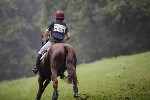 _MG_4361