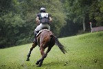_MG_4387