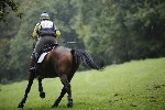 _MG_4396