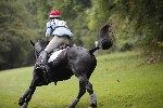 _MG_4431