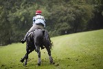_MG_4432
