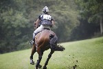 _MG_4454