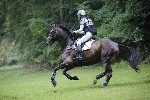 _MG_4461