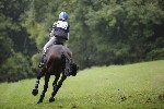 _MG_4464
