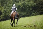 _MG_4472