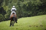 _MG_4473