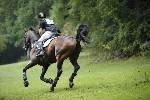 _MG_4490