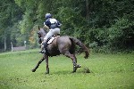 _MG_4520