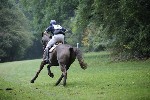 _MG_4521