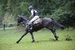 _MG_4529
