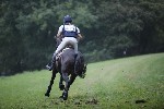 _MG_4532