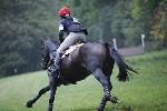 _MG_4557
