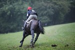 _MG_4558