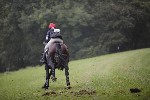 _MG_4559