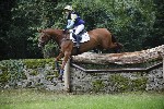 _MG_4564