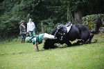 _MG_4587