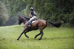 _MG_4595
