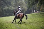 _MG_4596