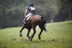 _MG_4604