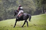 _MG_4612