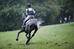 _MG_4622